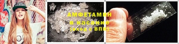 шишки Гусь-Хрустальный