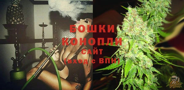 СК Гусев