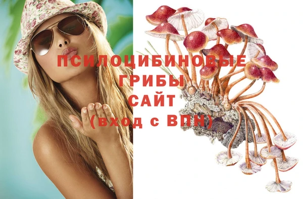 бошки Вязники